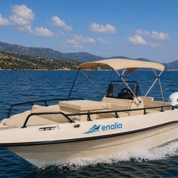 Regina Mare Boat - 6m, 100hp | New Luxury Edition